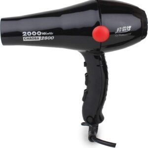 Professional Hair Dryer