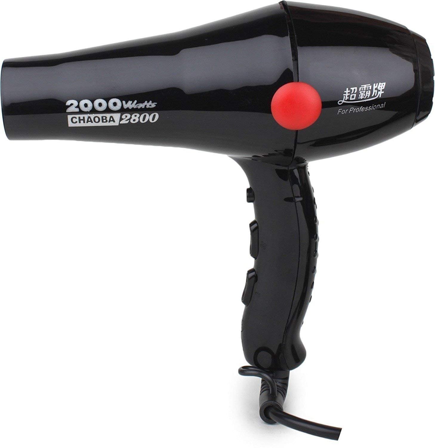 Professional Hair Dryer